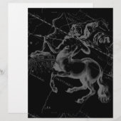 Sagittarius Constellation Classy Hevelius Engaving (Voorkant / Achterkant)