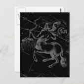 Sagittarius Constellation Classy Hevelius Engaving Briefkaart (Voorkant / Achterkant)
