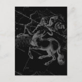 Sagittarius Constellation Classy Hevelius Engaving Briefkaart (Voorkant)