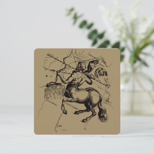 Sagittarius Constellation Hevelius 1690 Engraving (Staand voorkant)