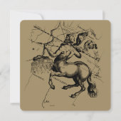 Sagittarius Constellation Hevelius 1690 Engraving (Voorkant)