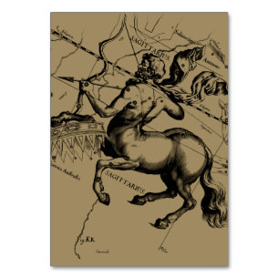 Sagittarius Constellation Hevelius 1690 Engraving Kaart