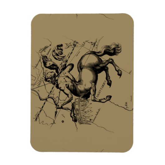 Sagittarius Constellation Hevelius 1690 Engraving Magneet (Verticaal)