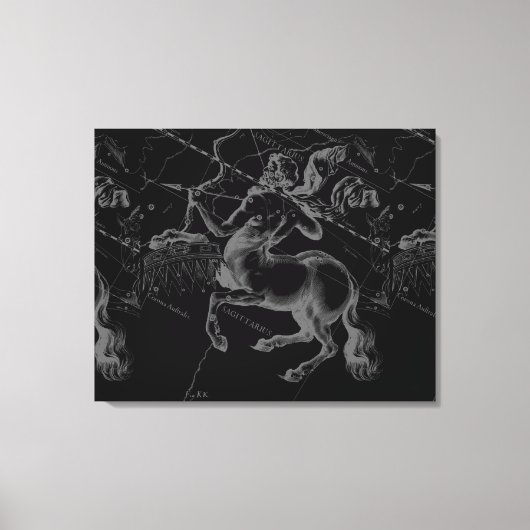 Sagittarius Constellation Hevelius circa 1690 Canvas Afdruk (Voorkant)