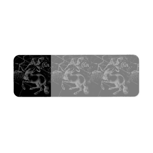 Sagittarius Constellation Hevelius circa 1690 Etiket (Voorkant)