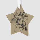 Sagittarius Constellation Map door Hevelius Ornament (voorkant)