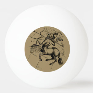 Sagittarius Constellation Map door Hevelius Pingpongbal