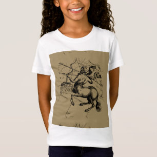 Sagittarius Constellation Map Hevelius 1690 T-shirt