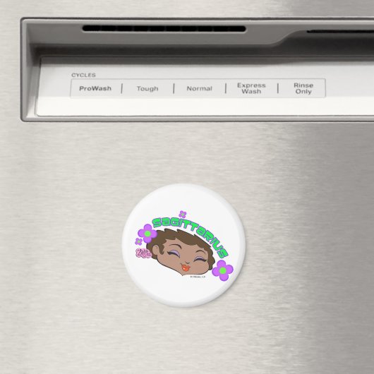 Sagittarius Magnet (Insitu (Vaatwasser))