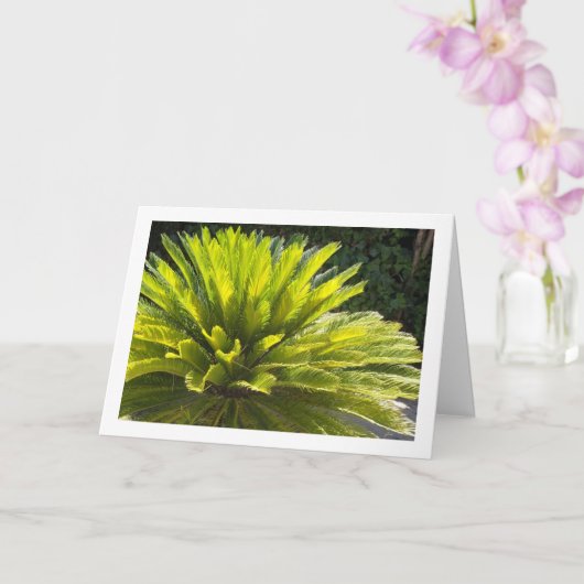 Sago Palm Plant Kaart (Orchidee)