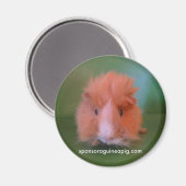 SAGP-magneet Magneet (Voorkant / Achterkant)