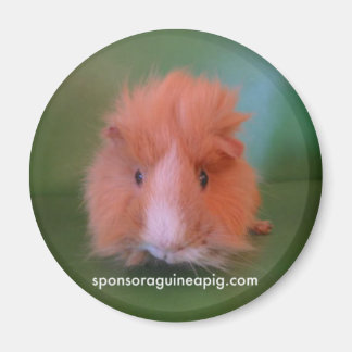 SAGP-magneet Magneet