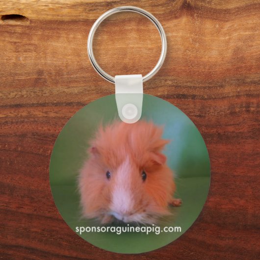 SAGP-sleutelhanger Sleutelhanger (Voorkant)