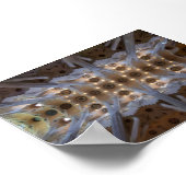 Sagrada Familia Poster (Hoek)