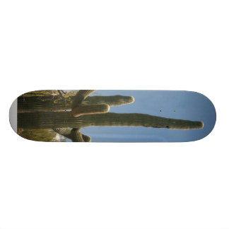 Saguara Cactus schaats board Skateboard