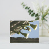 Saguaro Blooms Briefkaart (Staand voorkant)