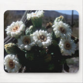 Saguaro Blossom Mousepad Muismat (Voorkant)