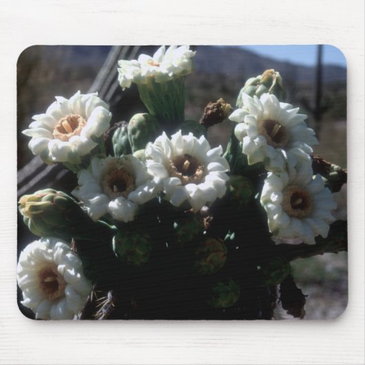 Saguaro Blossom Mousepad Muismat (Voorkant)