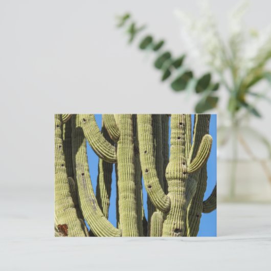 Saguaro Briefkaart (Staand voorkant)