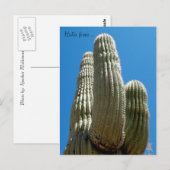 Saguaro Briefkaart (Voorkant / Achterkant)