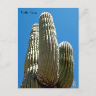 Saguaro Briefkaart