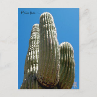 Saguaro Briefkaart