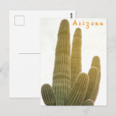 Saguaro Briefkaart (Voorkant / Achterkant)