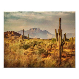 Saguaro Cacti Arizona Uitzicht van het woestijngeb Foto Afdruk