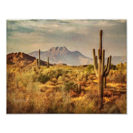 Saguaro Cacti Arizona Uitzicht van het woestijngeb Foto Afdruk (Voorkant)