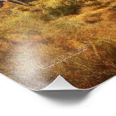 Saguaro Cacti Arizona Uitzicht van het woestijngeb Foto Afdruk (Hoek)