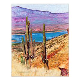Saguaro Cacti Blue Lake Paarse Mountains Arizona Foto Afdruk