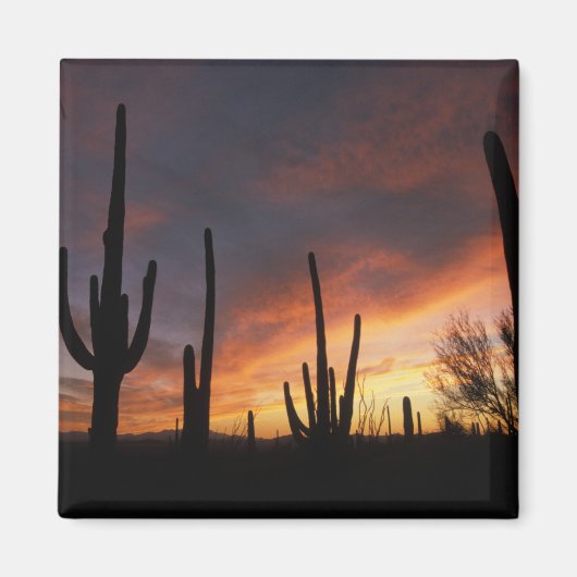 saguaro cacti, Carnegiea gigantea, na Magneet (Voorkant)