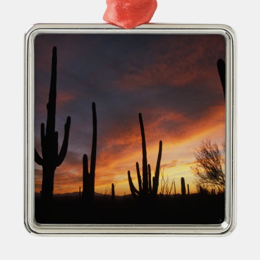 saguaro cacti, Carnegiea gigantea, na Metalen Ornament (Voorkant)