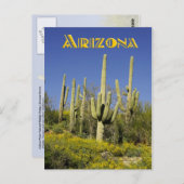Saguaro cacti en gele wilde bloemen, Arizona Briefkaart (Voorkant / Achterkant)