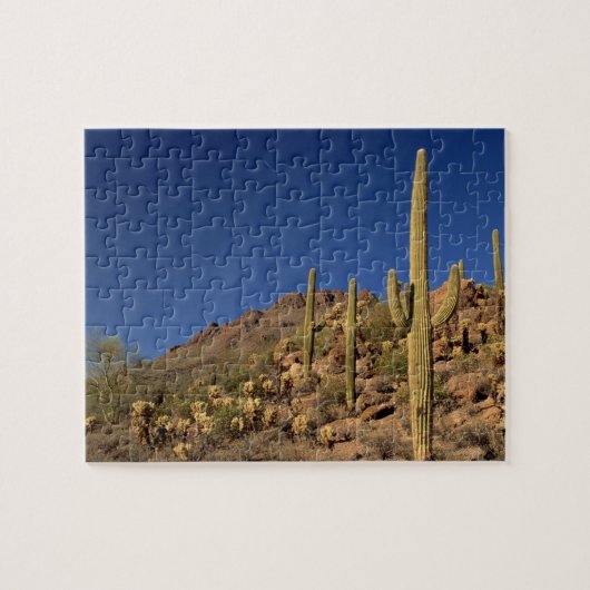 Saguaro cacti en Tucson Mountains, Tucson Legpuzzel (Horizontaal)