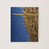 Saguaro cacti en Tucson Mountains, Tucson Legpuzzel (Verticaal)