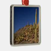 Saguaro cacti en Tucson Mountains, Tucson Metalen Ornament (Rechts)