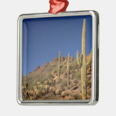 Saguaro cacti en Tucson Mountains, Tucson Metalen Ornament (Links)