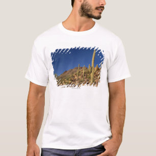 Saguaro cacti en Tucson Mountains, Tucson T-shirt