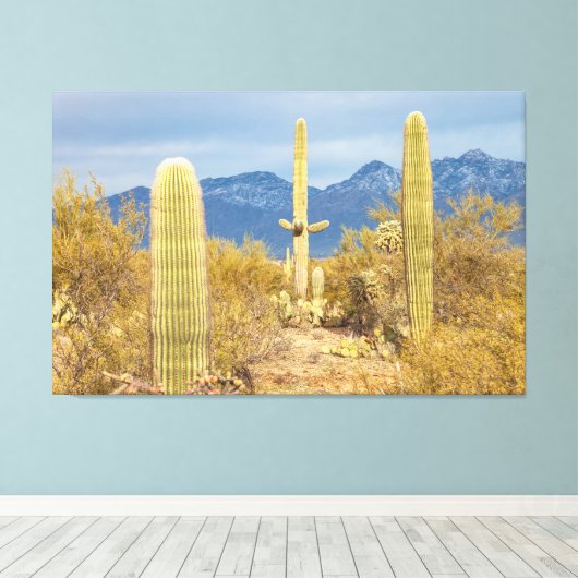 Saguaro Cacti in Desert Landscape Canvas Afdruk (Insitu (Houten vloer))