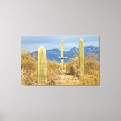 Saguaro Cacti in Desert Landscape Canvas Afdruk (Voorkant)