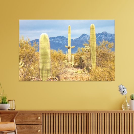 Saguaro Cacti in Desert Landscape Canvas Afdruk (Insitu (Woonkamer))