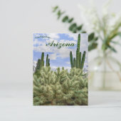 Saguaro Cacti in Tucson, Arizona Briefkaart (Staand voorkant)