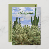 Saguaro Cacti in Tucson, Arizona Briefkaart (Voorkant / Achterkant)