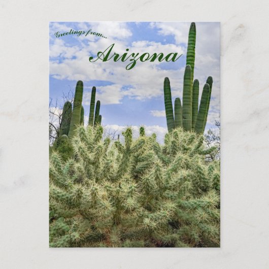 Saguaro Cacti in Tucson, Arizona Briefkaart (Voorkant)