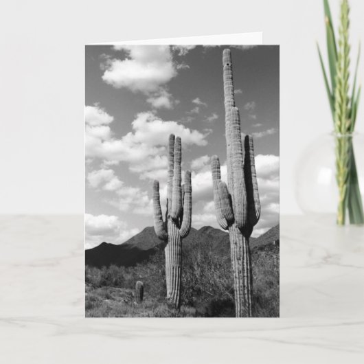 Saguaro Cacti Sonoran Desert Foto Wenskaarten Kaart (Voorkant)