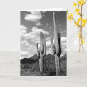 Saguaro Cacti Sonoran Desert Foto Wenskaarten Kaart (Gele Bloem)