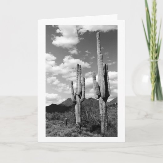 Saguaro Cacti Sonoran Desert Foto Wenskaarten Kaart (Voorkant)