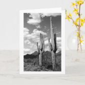 Saguaro Cacti Sonoran Desert Foto Wenskaarten Kaart (Gele Bloem)