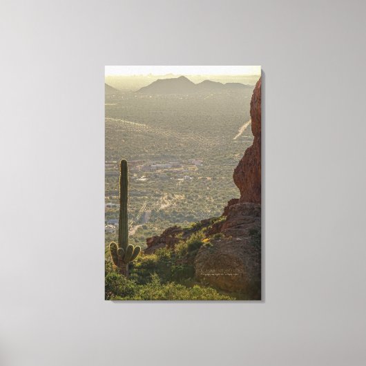 Saguaro Cactus Apache Junction Pheonix AZ 24 x 36 Canvas Afdruk (Voorkant)